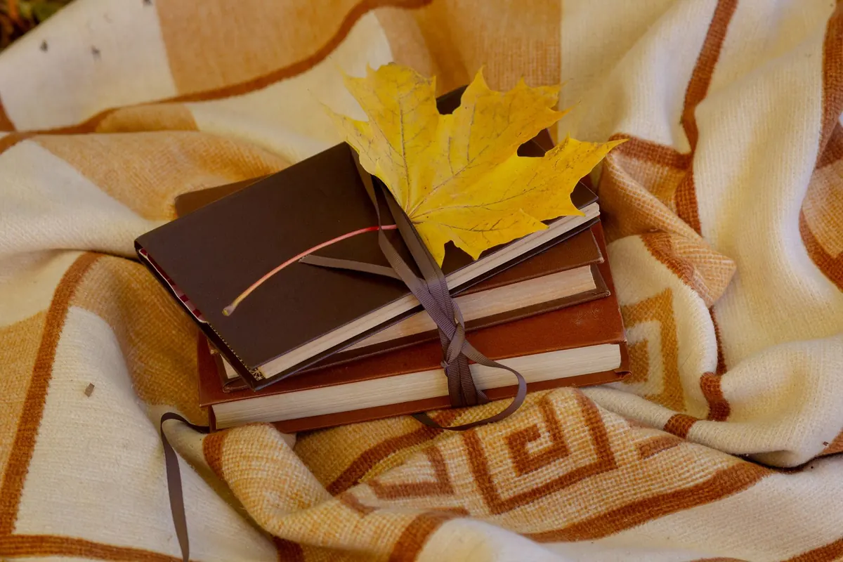 An Autumn Reading Guide: Cosy Books for Darker Evenings
